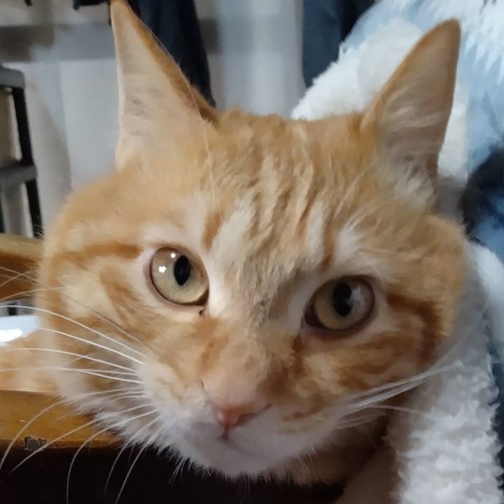 Cfcec830 e798 4f0a 9e17 9f85ecf5d40a 1677197849101