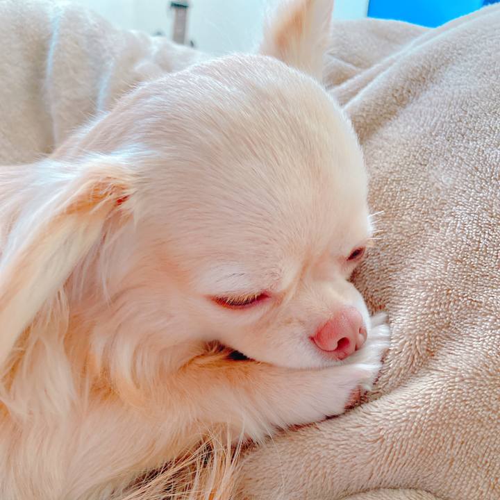 Cfced7d0 6e2d 4c2e 8739 110f8b4b492c 1645078542817