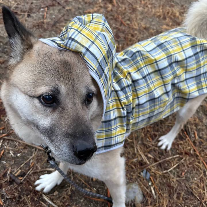 Cfcee1ff d688 40c3 a976 7bbb335d3766 1741090044647