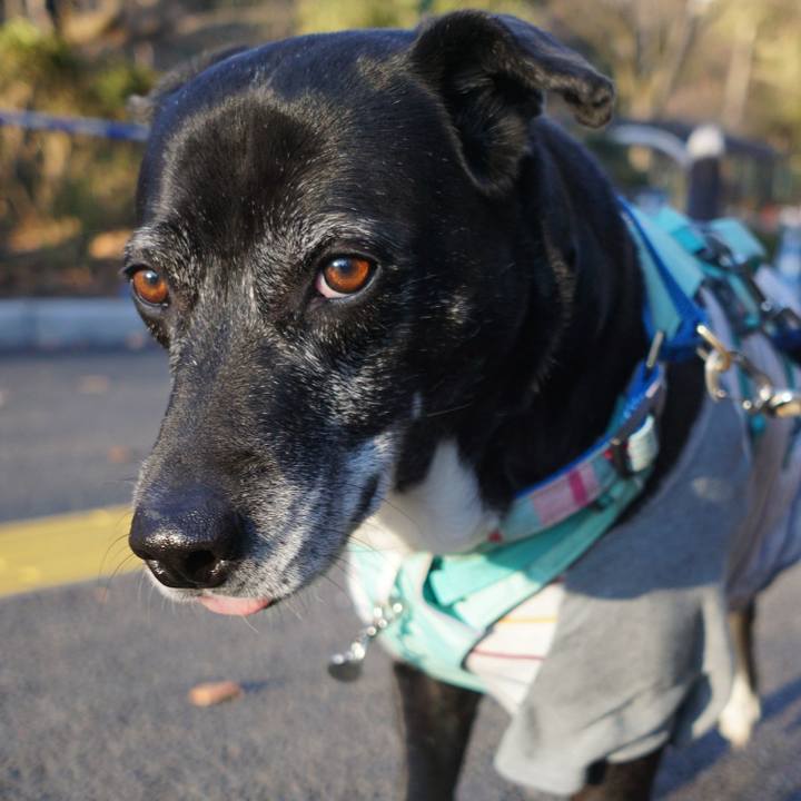 Cfcef4bb 3877 4b6e a859 b7dcb9ca3992 1770079031438