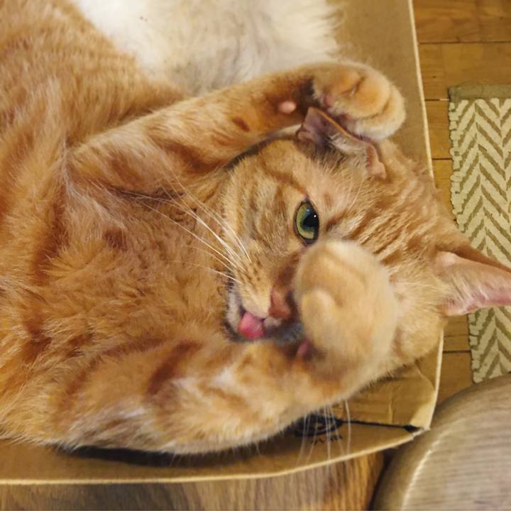 Cfcf2afe 493c 446b 86df c12c1ea1738a 1600161482897