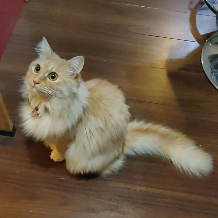 Cfcf2e01 2607 4648 92ca edd5846bf9a8 1705961756005