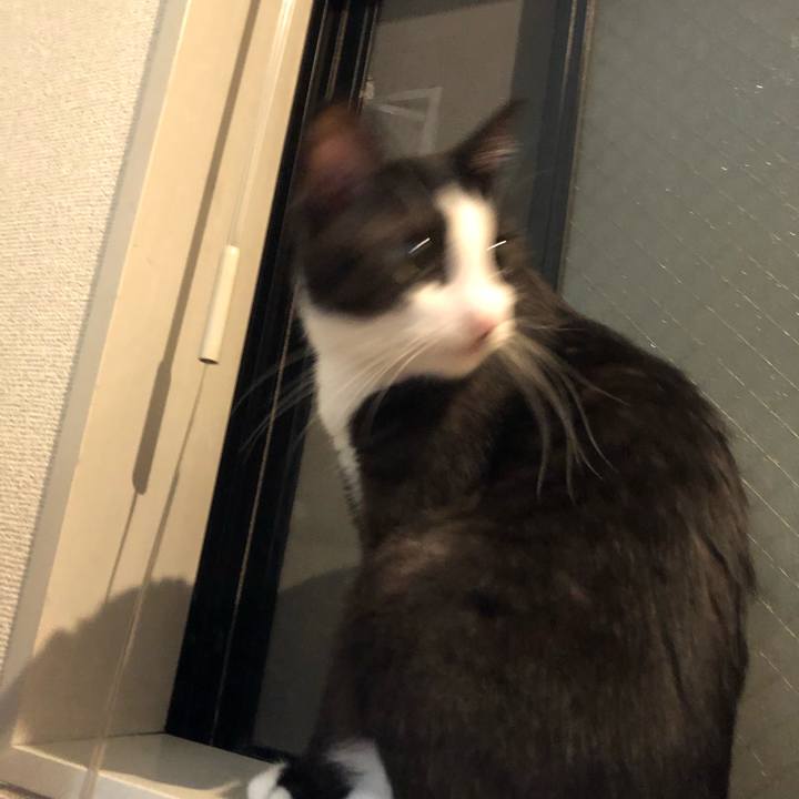 Cfcf781f 0958 408b a2df 0d59e658233d 1569927658503