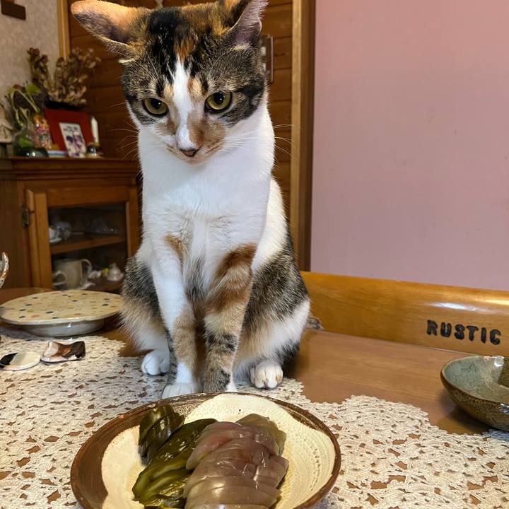 Cfcf922d dad9 47a3 a3c9 785b9bd1382e 1662672431278