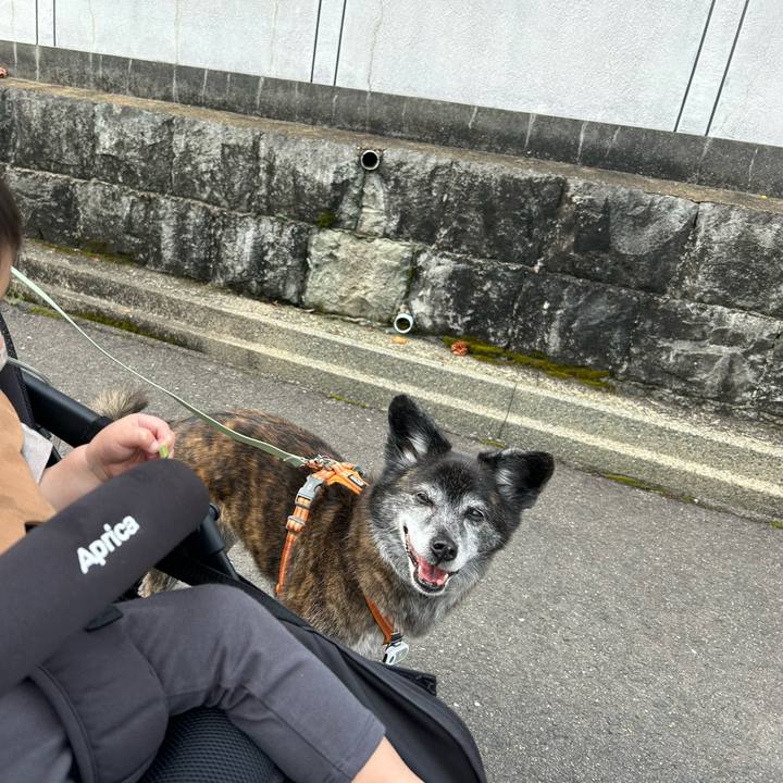 Cfcf97b6 5c8a 40cf a260 f9c1cec93d01 1747001350367