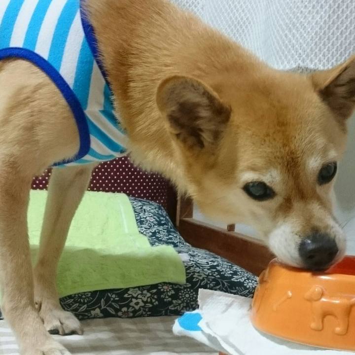 Cfcfaa71 2aa7 4c0c ae6f 5fed5bf2931e 1530108490530