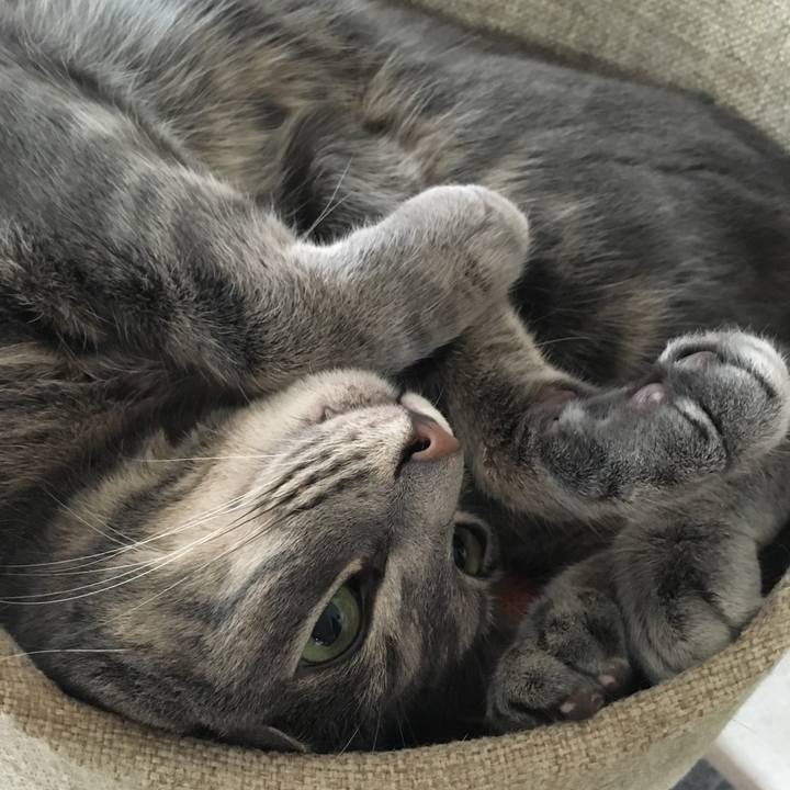 Cfcfc133 4e49 443d 9c86 25d477e1ed27 1564615219008