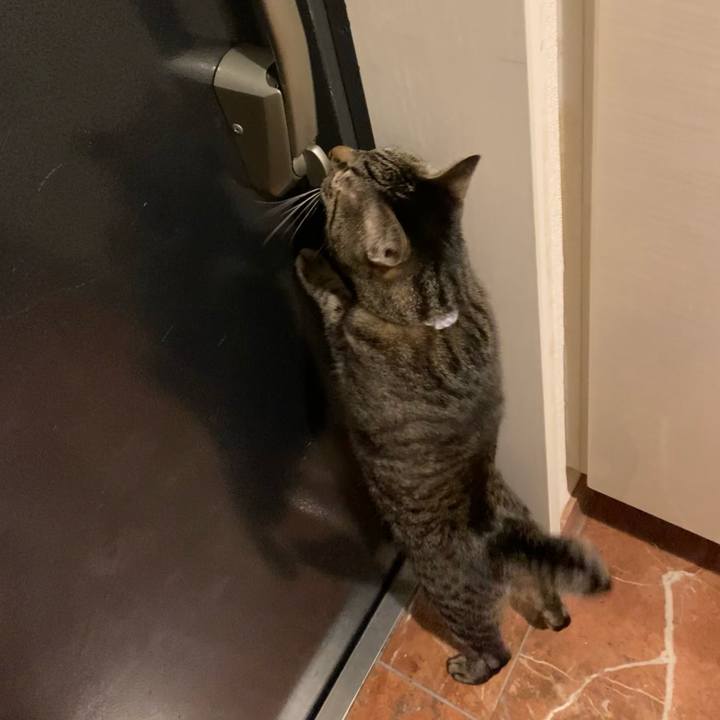 Cfd046dd 6c0c 431e 9240 49fb86f1a594 1620212403461