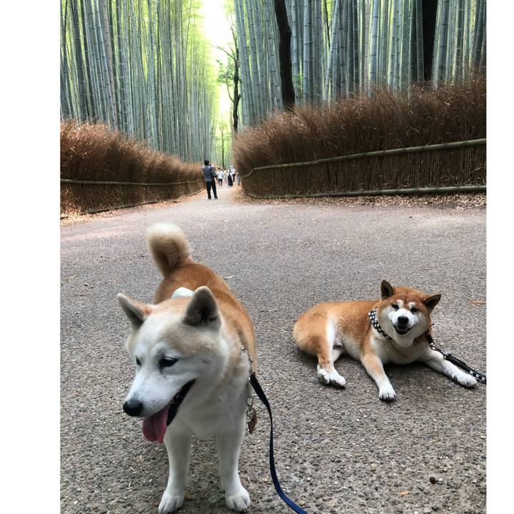 Cfd04a78 1c34 48a8 8787 7367ee8c2548 1591588017474