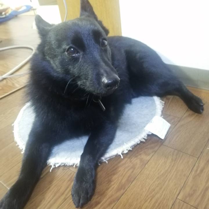 Cfd096d1 754e 4722 8560 5651cd20b406 1643837611896