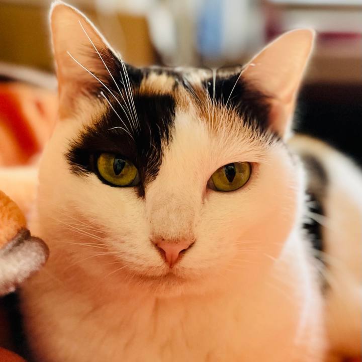 Cfd0aa17 db7e 474c 9c4b 23af467a13f9 1606530991747