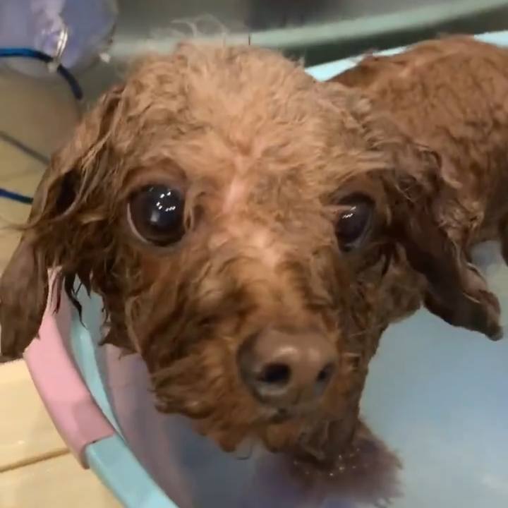 Cfd0b441 bd82 4091 ace2 24c9780b5fe3 1577353555593