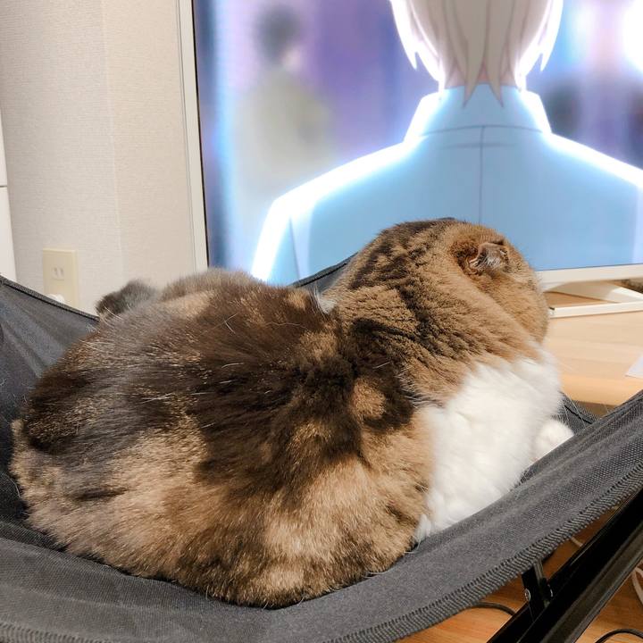 Cfd0c6ea 069f 41e5 b391 90531a45fbe1 1556354485436