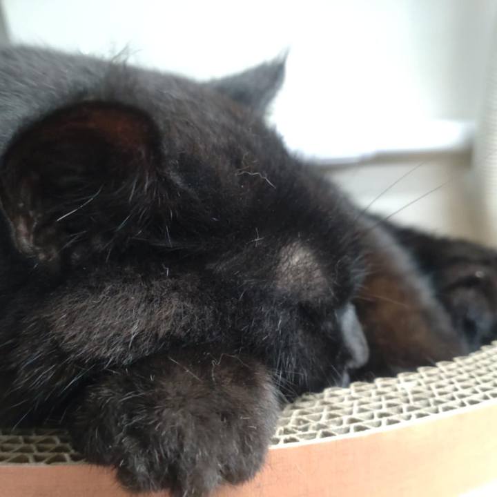 Cfd0f46c 91c4 48bd 81b5 f09d00a58bca 1759798006357