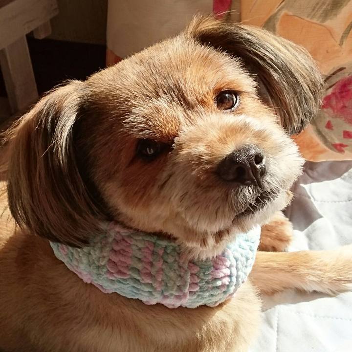 Cfd121a6 7e15 4322 a8ba 0318a7ee7863 1541037489062