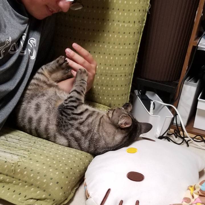 Cfd1464d 5e5d 4d13 821a 67b9bbaf7703 1691418201271