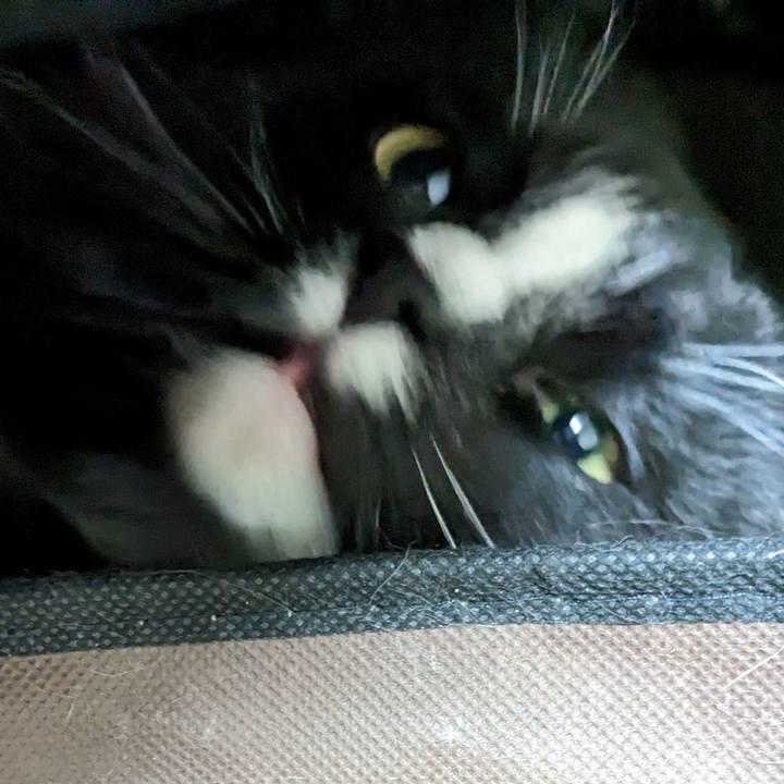 Cfd155eb 93fe 4edd 905b 8517e7adea9b 1681425964163