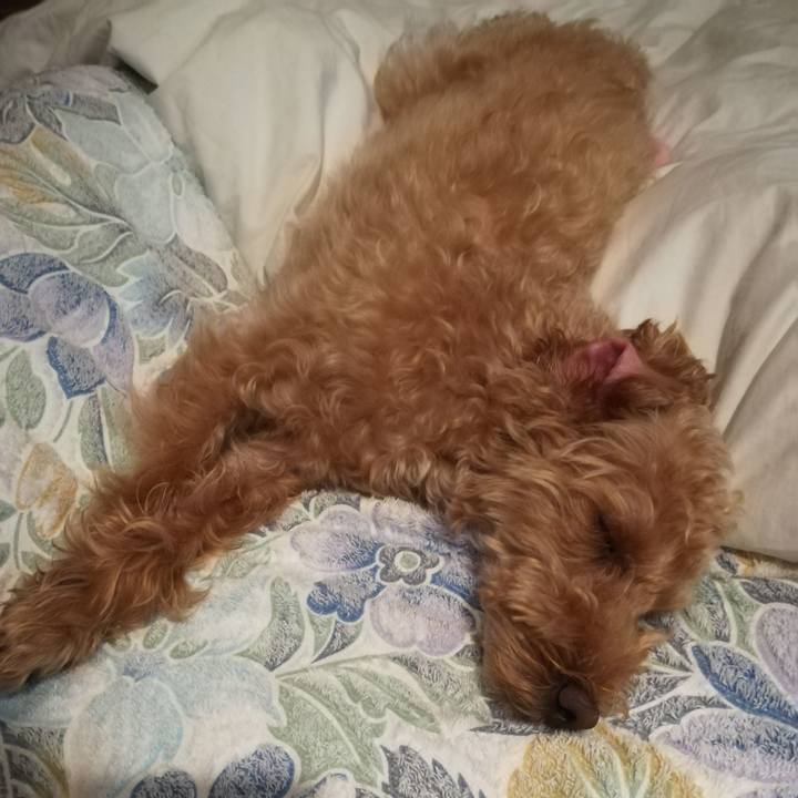 Cfd16f83 f753 4e5d 8784 9ed9b9f1065f 1565874526616