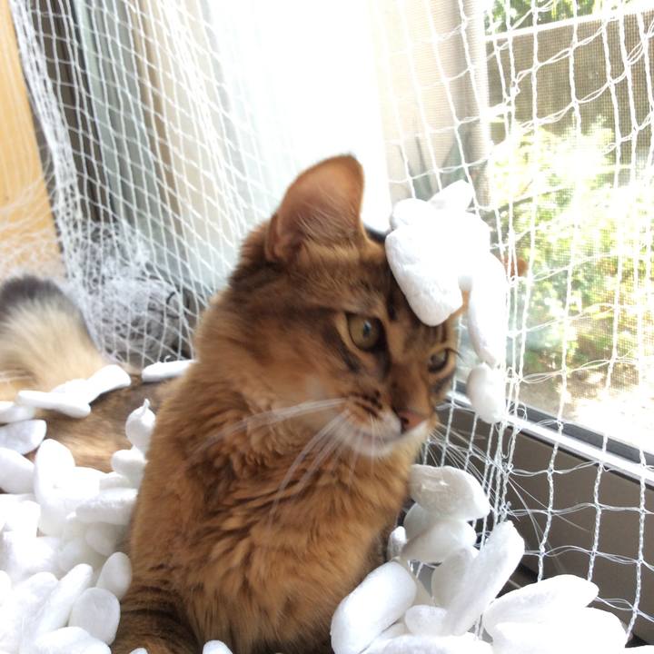 Cfd17971 17f6 4c48 937c 0d8dc172217e 1565054172319