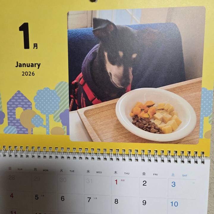 Cfd17f8d 6a43 4161 944c 8d1a7278f525 1767254277935