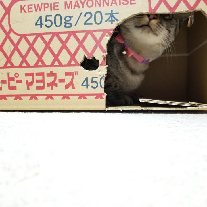 Cfd19047 ed70 4bb5 ab62 b4e378427ab5 1681644273522