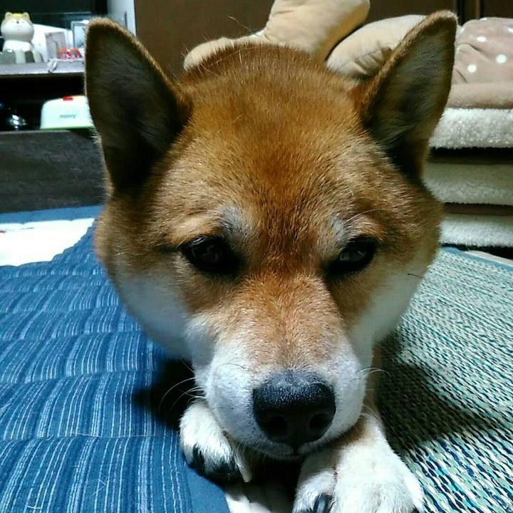 Cfd1b453 86e8 40df b8ed aab263b337b9 1564311577602