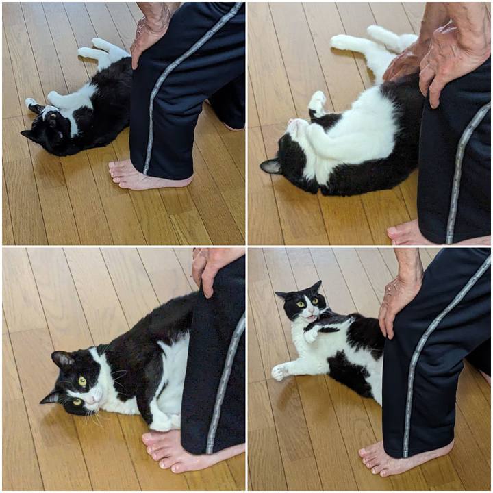 Cfd26c17 91bb 4513 8997 c857fbf1a15f 1718867113637