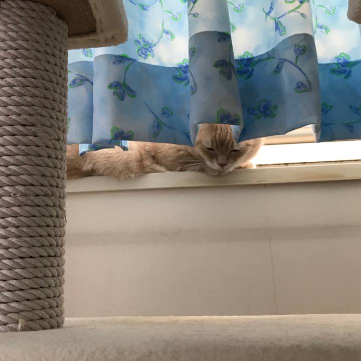 Cfd2dd62 027d 4a45 b3ef a616516cb8c9 1526380616921