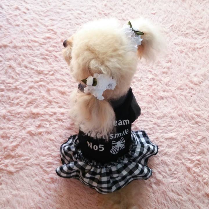 Cfd2fb26 1483 4fa8 92ec d68a25db93c3 1539861591193