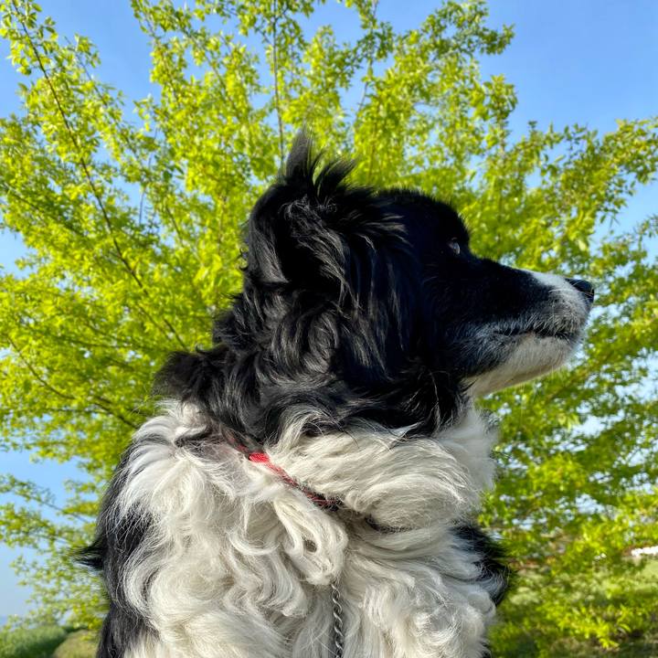 Cfd303f4 99a2 4b88 87cd 8c55402adce2 1649549738232