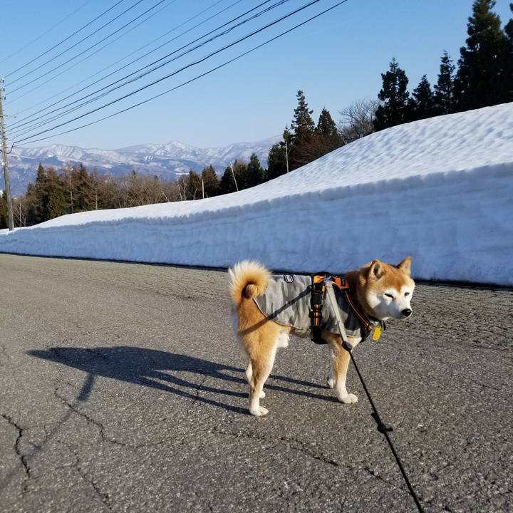 Cfd345a8 a4c2 457a 982f de48e1bb7262 1615446073992