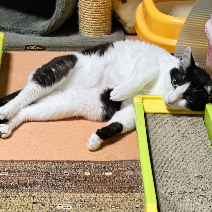 Cfd35a3f d7ba 4033 8f45 2bc6708527cd 1689124293131