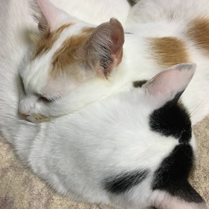 Cfd36693 2d65 49cf a284 a95c64e1ba44 1548464915264