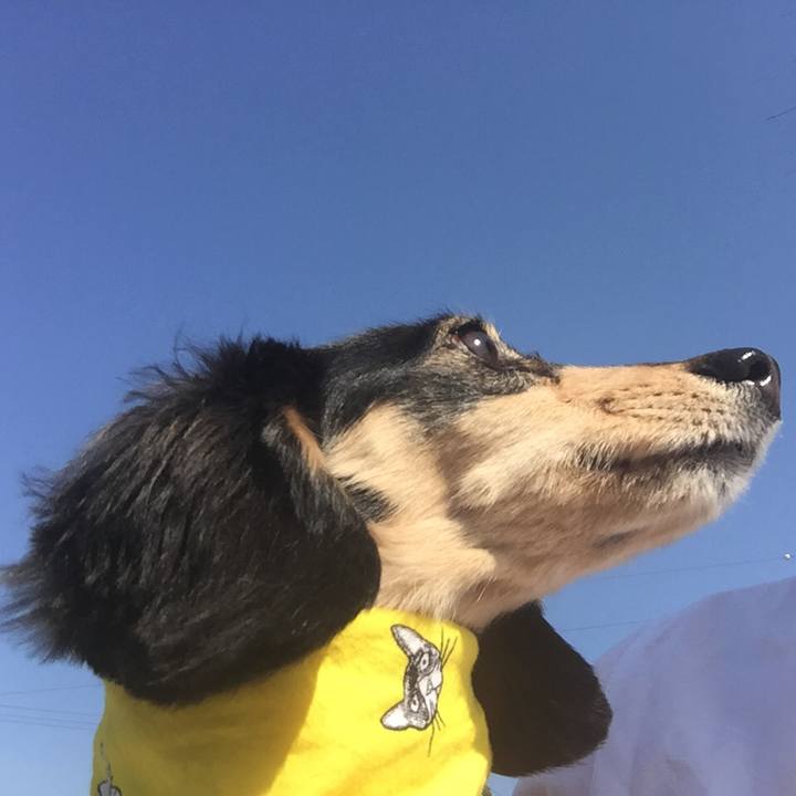 Cfd3a496 fa81 4f94 81d1 de82090c982d 1524097164488