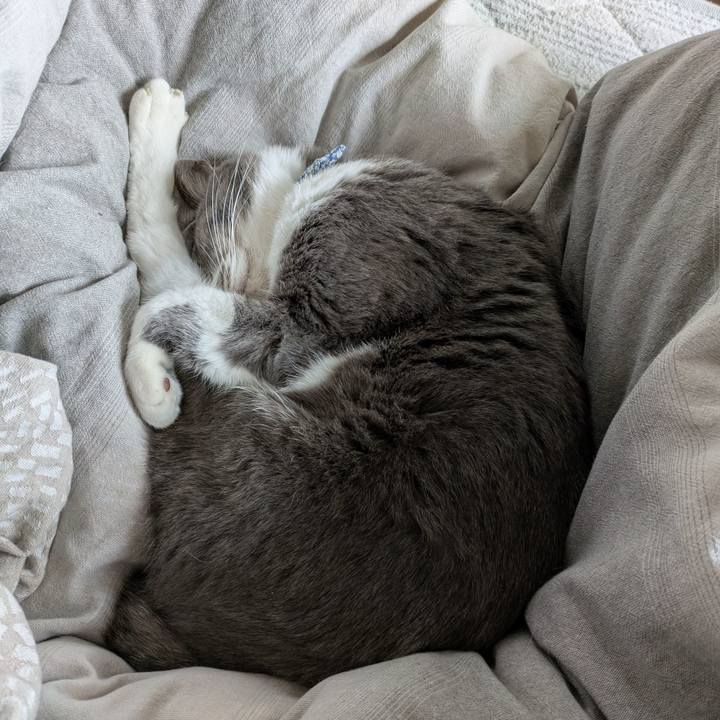 Cfd3a9ef dbcd 43fc b691 045c711f3458 1737599257985