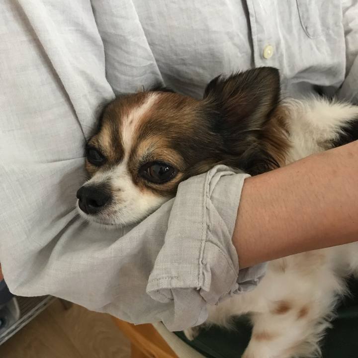 Cfd3b4d4 ab16 4cc1 8b78 06c1771e35b9 1560904489378