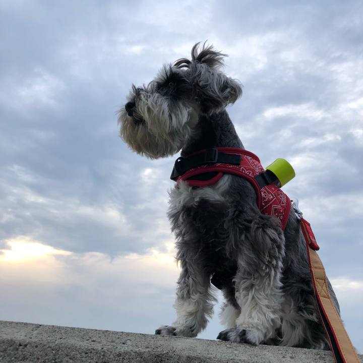 Cfd3bc83 3f33 4f76 ab71 6de309db0883 1526133455091