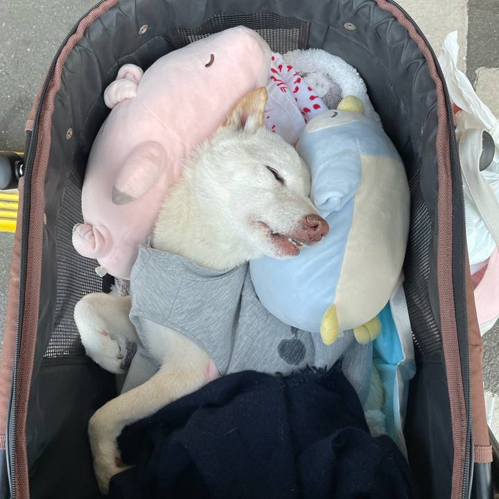 Cfd3cc71 49d7 407c 8eb8 eb3cc37b9b23 1671553622908