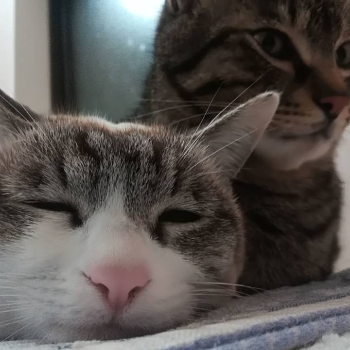 Cfd3cdd6 43e4 4f71 8241 17aa965488eb 1520695851602