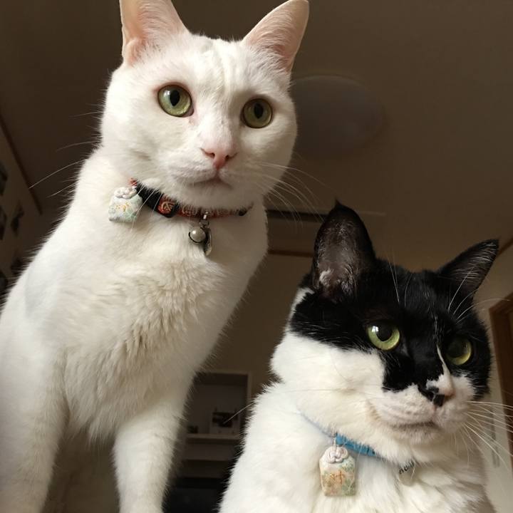 Cfd3d34c c5e8 4b4d a65f 0667408dd2f8 1530954570415