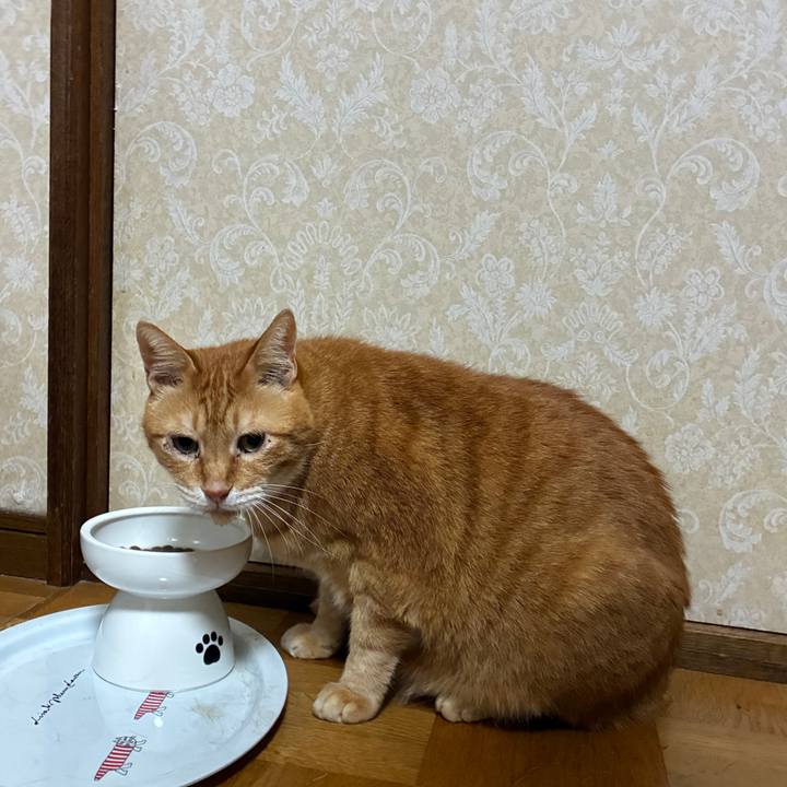 Cfd3d5ad 1053 4595 9d3a b8512e1d02c4 1754947327955