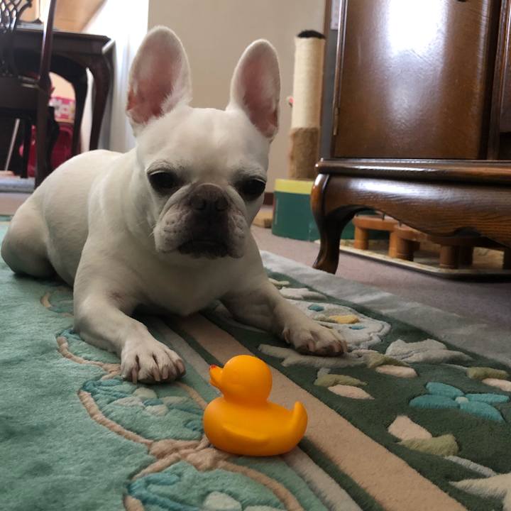 Cfd40efa cb4a 46ac bb71 7ec8a30155c8 1664078563459