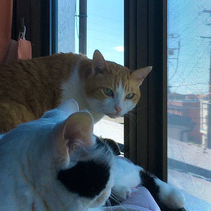 Cfd41389 1c5c 44e2 8598 2ac5434fc44b 1623458229669