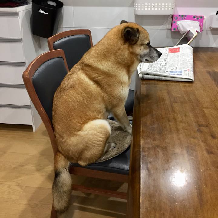 Cfd41610 1239 4580 aaf2 5eb115f8c621 1521595353743