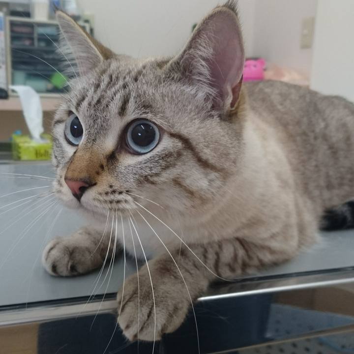 Cfd445b1 9873 44de a04d 658e183c4cae 1509758077456