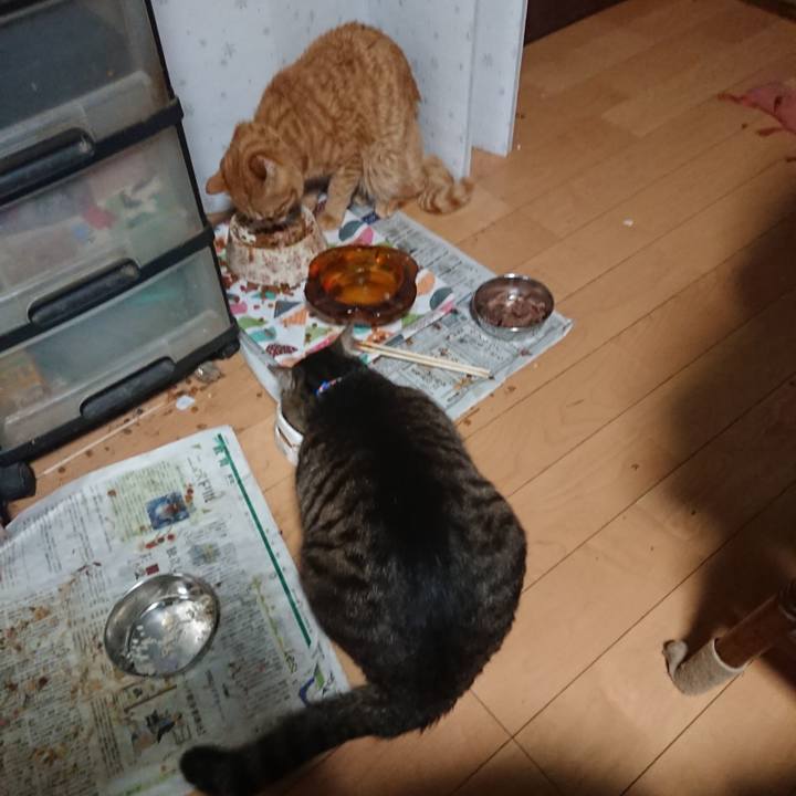 Cfd463a4 7514 450e 9739 9edb93df58ea 1654808608715