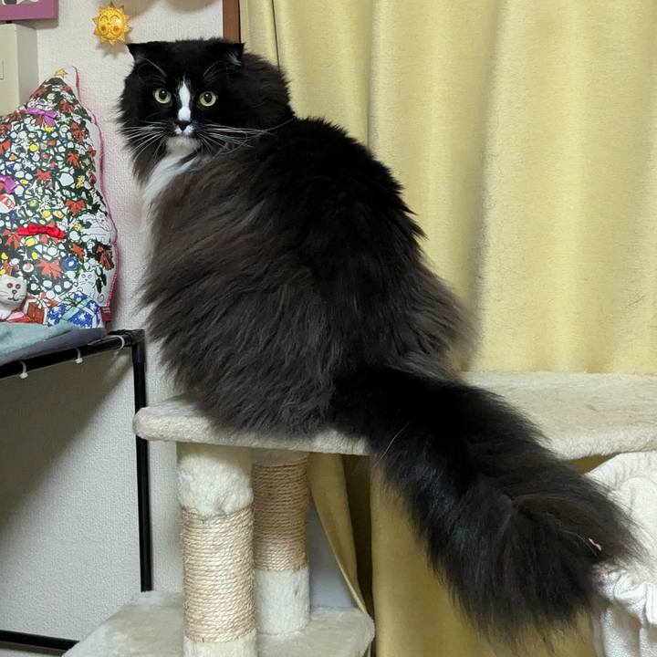 Cfd48f54 bae2 487e 8149 17a57800f2e4 1731768190633