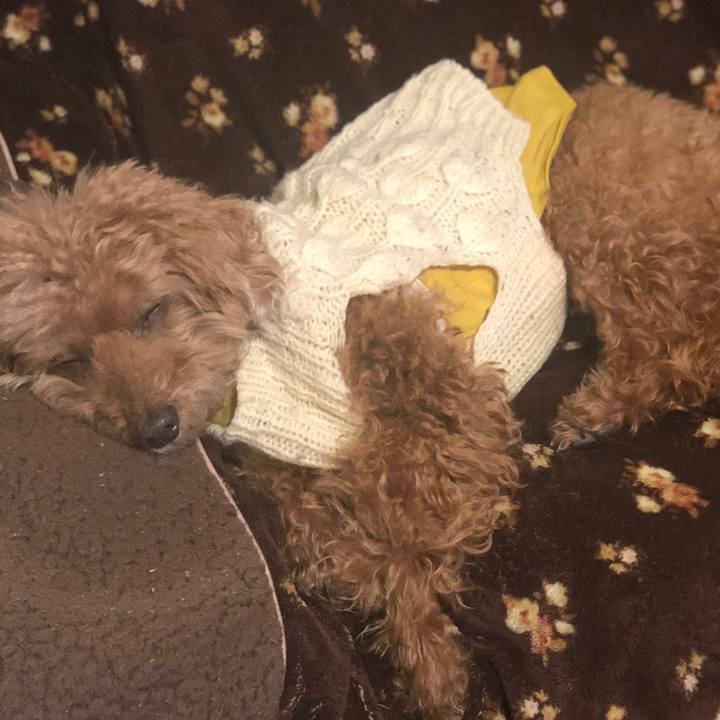 Cfd49162 9215 43cf 9d0c 8e4e20cbcf89 1549196578648