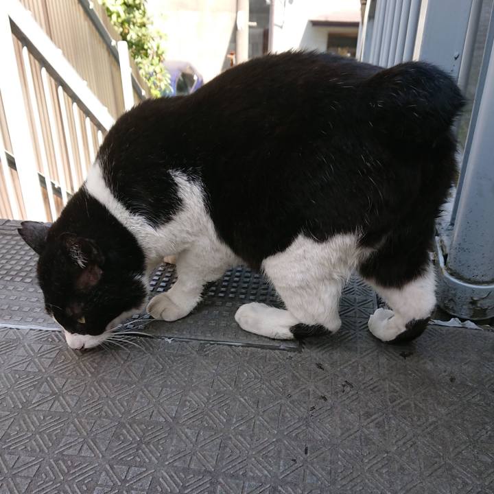 Cfd4a9ed 4637 479c 8389 c371764103e9 1558759520844