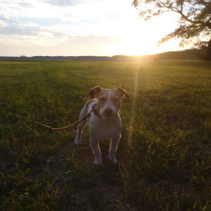 Cfd4b033 bd1c 43e9 b20e 79f1aad102df 1541859137711